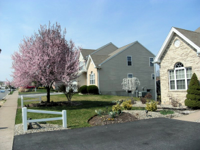 Landscape in Spring Bloom - Whitehall, PA