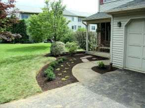 Landscape Bed Re-planting