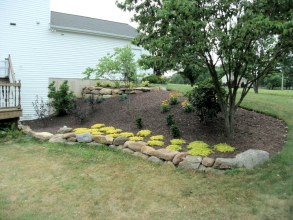 Landscape Bed Rehab