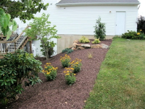 Landscape Bed Rehab