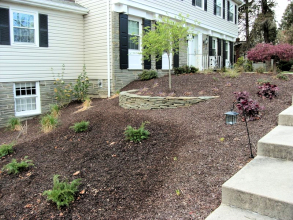 Large Tree Planting/Natural Stone Wall Install - Northampton, PA