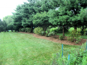 Front/Back Landscape Rehab/ Natural Stone Wall Install - Bethlehem, PA