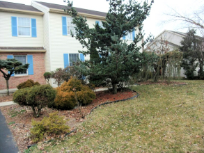 Front Landscape Rehab - Bethlehem, PA