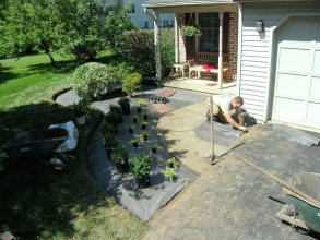 Landscape Bed Re-planting