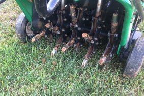 Lawn Aeration and Over Seeding