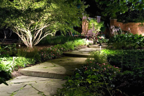 Landscape Lighting